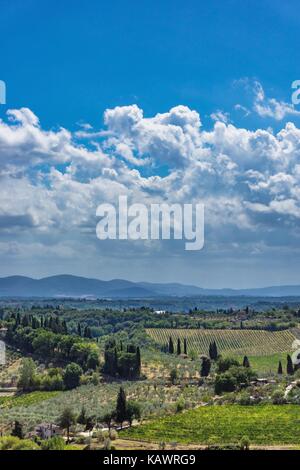 Photo verticale avec vue sur la campagne toscane en Italie. les collines et les rochers sont couverts d'oliviers, peu de bâtiments, de pins et d'autres plantes typi Banque D'Images