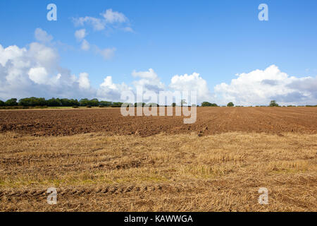 Sol labouré récemment dans un champ de chaume de blé au moment de la récolte avec bois et haies sous un ciel d'automne nuageux bleu dans le Yorkshire Wolds Banque D'Images