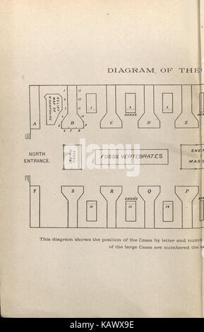 Guide du visiteur de la commission géologique et paléontologique des collections dans le Musée Américain d'Histoire Naturelle, 70 7e Rue et 8e Avenue, New York City (Page (2)) BHL47135457 Banque D'Images