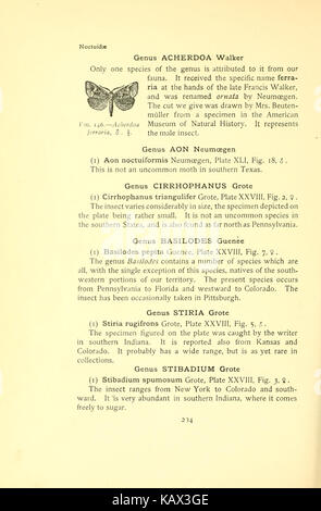 La page 234 de 'The Moth Book' fournit des descriptions détaillées et des illustrations de diverses espèces de mites, contribuant à l'étude de l'entomologie. Il sert de référence importante pour identifier et comprendre la diversité et les caractéristiques des mites. Banque D'Images