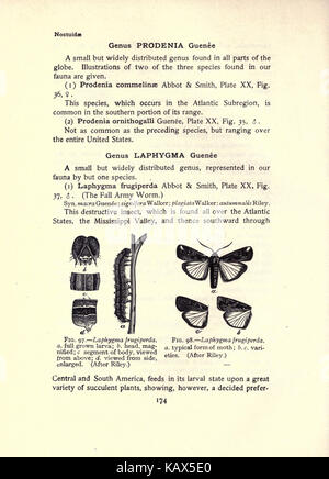 L'espèce d'adresses (page 174, fig. 97 98) BHL21853143 Banque D'Images