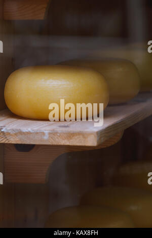 Fromages hollandais dans une vitrine Banque D'Images