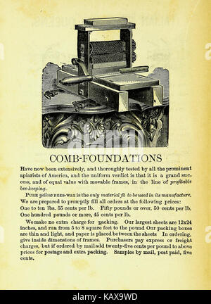 Un manuel d'apiculture intitulé 'The New Bee Keepers' Text Book', offrant des conseils sur les techniques apicoles. Banque D'Images