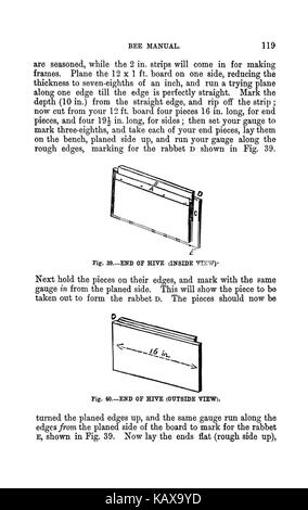 L'Australasian illustré manuel d'abeilles et l'apiculture moderne guide complet de la culture dans l'hémisphère sud BHL38562800 Banque D'Images