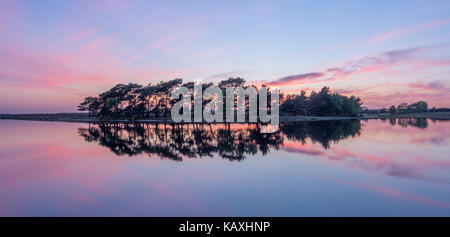 Hatchet étang dans le New Forest au coucher du soleil. Banque D'Images