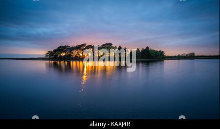 Hatchet étang dans le New Forest au coucher du soleil. Banque D'Images