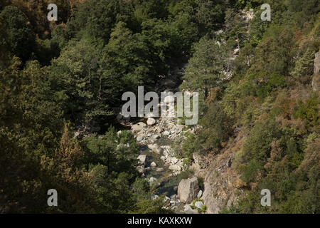 Vue paysage de la ville d'Evisa, Corse, France. evisa est un emplacement central pour les marcheurs qui viennent à pied des gorges de Spelunca qui sont ci-dessous dans la distance. La Corse est une île de la Méditerranée et l'une des 18 régions de France. Il est situé au sud-est de la métropole et à l'ouest de la péninsule italienne. Banque D'Images