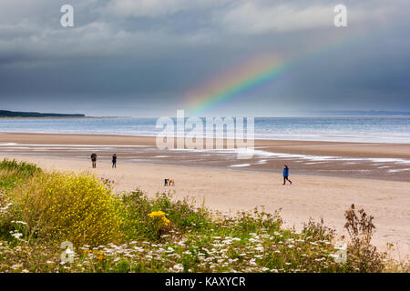 Dimanche après-midi, chien marchant sur la plage de West Sands à côté des parcours de golf à St Andrews, Fife, Écosse, Royaume-Uni Banque D'Images