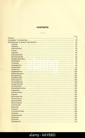 Le Mississippien Brachiopoda du bassin de la vallée du Mississippi BHL20687691 Banque D'Images