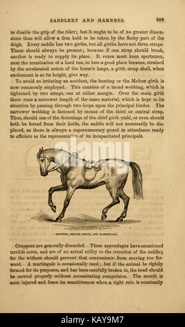 Cette page de 'The Illustrated Horse Management' se concentre sur les soins et la gestion des chevaux, détaillant divers aspects des soins équins, y compris la nutrition, l'exercice et le toilettage. Il sert de guide complet pour les propriétaires de chevaux et les gardiens. Banque D'Images
