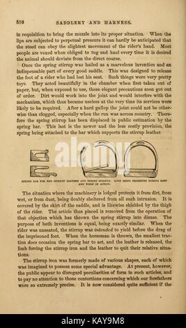 Le cheval illustré page 510 (gestion) BHL21199953 Banque D'Images