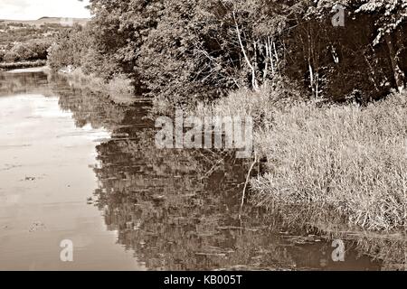 Wiliam docherty je marchais autour de twechar. ce qui est un petit village de mineurs dans la région de East Dunbartonshire en Écosse. Banque D'Images