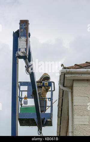 Spécialiste de l'installation d'un antiparasitaire brood fort afin d'encourager une colonie d'abeilles à miel pour passer d'une chambre cheminée. Banque D'Images