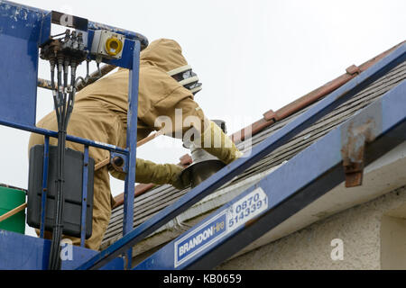 Spécialiste de l'installation d'un antiparasitaire brood fort afin d'encourager une colonie d'abeilles à miel pour passer d'une chambre cheminée. Banque D'Images