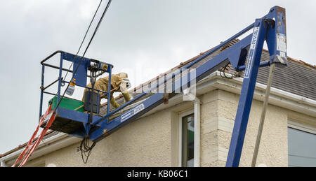 Spécialiste de l'installation d'un antiparasitaire brood fort afin d'encourager une colonie d'abeilles à miel pour passer d'une chambre cheminée. Banque D'Images