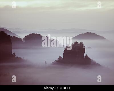 Brume D'été colorés dénudée. forêt après une lourde nuit pluvieuse. treetops est passé de brouillard épais et de décapage de l'inversion. Banque D'Images