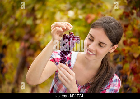 Female vigneron raisins inspection dans le vignoble Banque D'Images