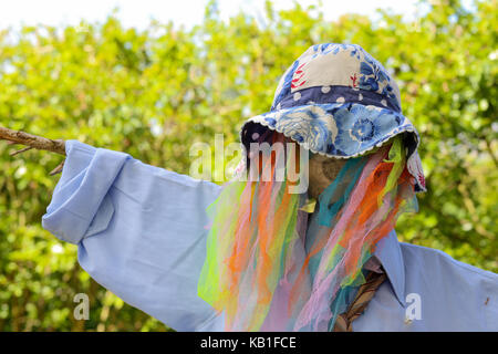 Arc-en-ciel colorés drôles d'épouvantails mesh avec chemise bleu pâle et un chapeau sur fond vert ensoleillé floue Banque D'Images