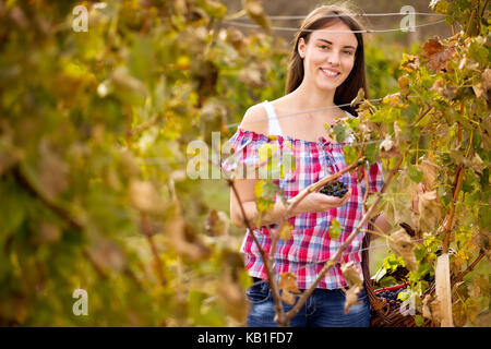 Smiling young woman in vineyard Banque D'Images