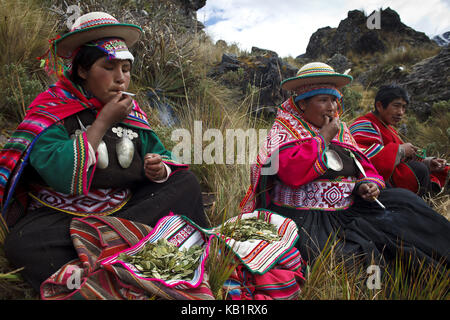 Bolivie, Cordillera Apolobamba, Kallawaya, cérémonie, guérisseur, costume traditionnel, Banque D'Images