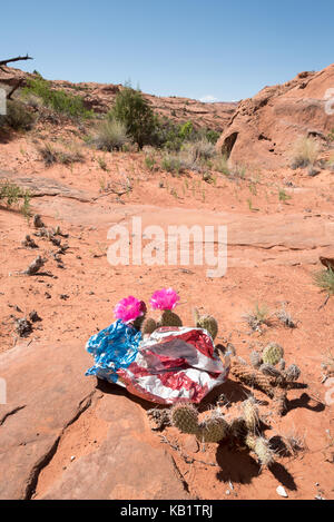 Ballon mylar pris dans un cactus pricklypear en Grand Staircase - Escalante National Monument (Utah). Banque D'Images