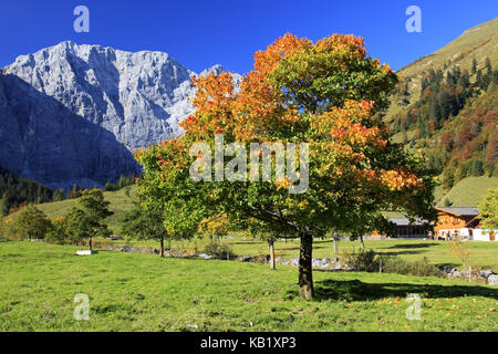 Autriche, Tyrol, Engtal, Eng, Großer Ahornboden, Karwendel, Banque D'Images