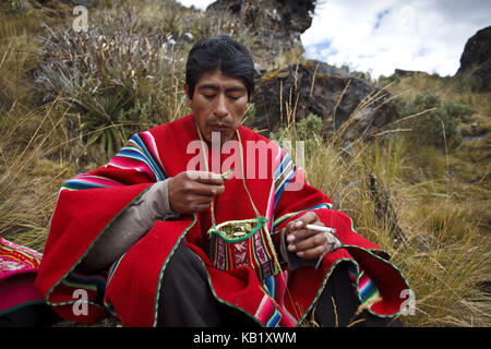 Bolivie, Cordillera Apolobamba, Kallawaya, cérémonie, guérisseur, costume traditionnel, Banque D'Images