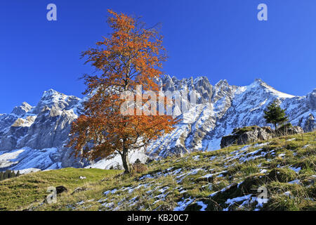 La Suisse, Appenzell, Appenzell, alp pays massif en pierre, Säntis, ALP, massif de pierre, d'érable, harewood Banque D'Images