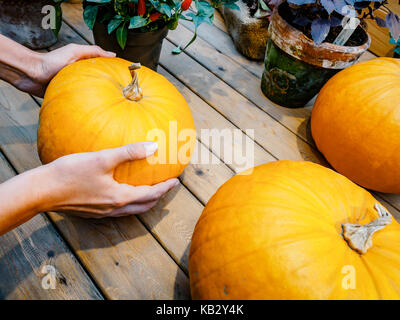 Une femme choisit une citrouille dans le marché. Orange citrouille dans les mains. Grosse citrouille dans femme mains. Citrouille jaune se tenant la main. Belle grande pumpkin Banque D'Images