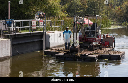 Après le passage de l'Irma, l'équipe de nettoyage d'arbres à travers le verrouillage Verrouillage Navigation Burrell sur Haines Ruisseau Leesburg, Florida USA Banque D'Images