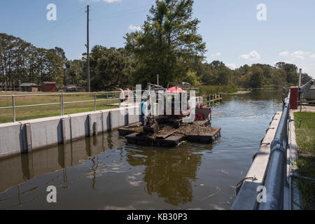 Après le passage de l'Irma, l'équipe de nettoyage d'arbres à travers le verrouillage Verrouillage Navigation Burrell sur Haines Ruisseau Leesburg, Florida USA Banque D'Images