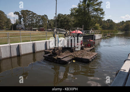 Après le passage de l'Irma, l'équipe de nettoyage d'arbres à travers le verrouillage Verrouillage Navigation Burrell sur Haines Ruisseau Leesburg, Florida USA Banque D'Images