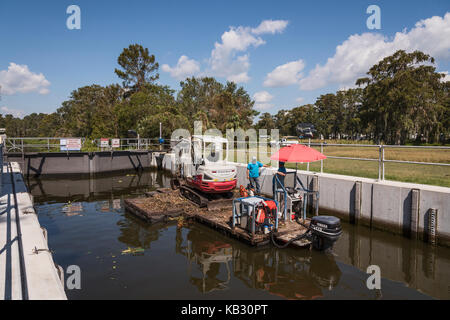 Après le passage de l'Irma, l'équipe de nettoyage d'arbres à travers le verrouillage Verrouillage Navigation Burrell sur Haines Ruisseau Leesburg, Florida USA Banque D'Images