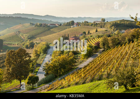 Vue sur les vignobles de la région du Piémont en Italie. Banque D'Images