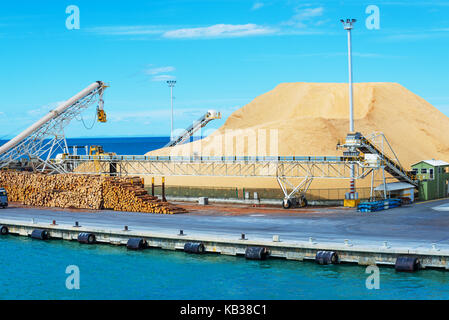 Pile de bois dans le port pour le chargement Banque D'Images