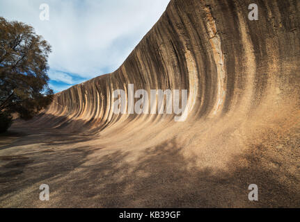 Dans la wave rock fantastique wave rock Wildlife Park près de hyden en Australie occidentale.L'Australie Banque D'Images