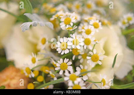 Arrangement de fleurs y compris daisies Banque D'Images