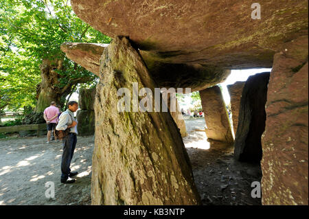 France, Ille et Vilaine, Essse, la Roche aux Fées, le monument mégalithique le plus important de Bretagne, un dolmen Banque D'Images