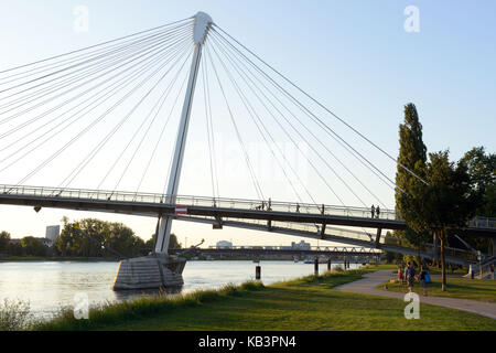 France, Bas Rhin, Strasbourg, Passerelle Mimram au-dessus du Rhin et le jardin des deux rives (jardin des deux rives) à Kehl Banque D'Images
