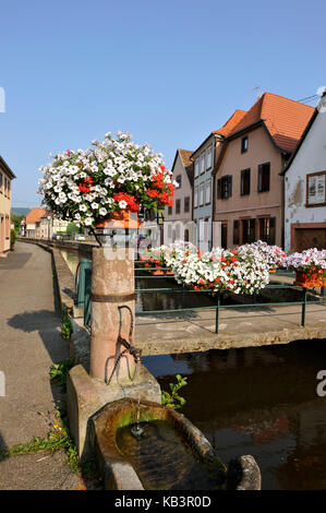 France, Alsace, wissembourg, district de la bruch, rives de la rivière (la Lauter) Banque D'Images