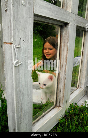 Fille joue avec le chaton blanc ancienne fenêtre sur un pré Banque D'Images