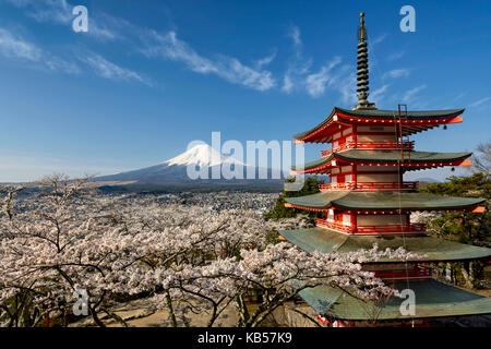 Le mont Fuji avec une pagode rouge dans la saison du printemps avec les fleurs de cerisier, Japon Banque D'Images