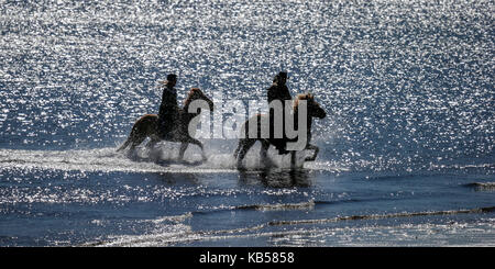 L'équitation sur longufjordur Beach, péninsule de snæfellsnes, l'islande Banque D'Images