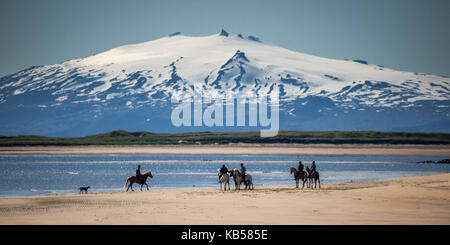 L'équitation sur la plage, longufjorur glacier snaefellsjokull en arrière-plan, péninsule de snæfellsnes, l'islande Banque D'Images