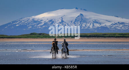 L'équitation sur la plage, longufjorur glacier snaefellsjokull en arrière-plan, péninsule de snæfellsnes, l'islande Banque D'Images