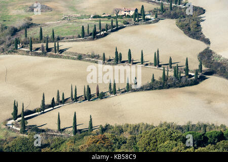 La pittoresque route, entouré de cyprès et au sol gris, conduit à une villa sur une colline. La toscane, italie. Banque D'Images