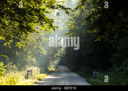 L'Europe, Pologne, podlaskie voivodeship, carska road Banque D'Images