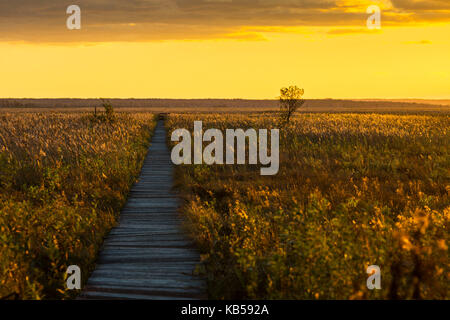 L'Europe, Pologne, podlaskie voivodeship, carska road Banque D'Images