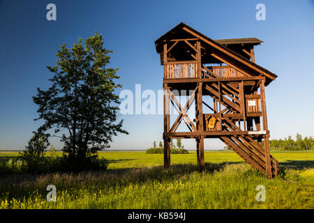 L'Europe, Pologne, podlaskie voivodeship, carska road Banque D'Images