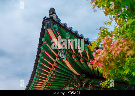 Motif coloré sur le toit du temple avec des feuilles d'érable au temple Beomeosa à Busan, Corée du Sud Banque D'Images